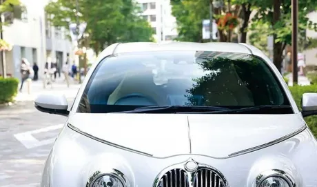 Mitsuoka Viewt Story