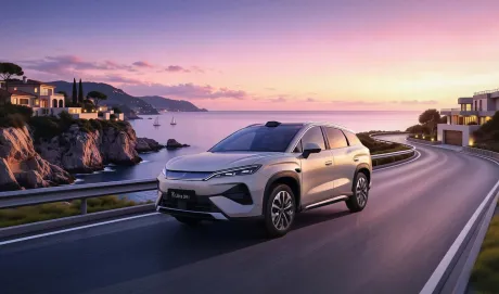 BYD компенсирует ущерб